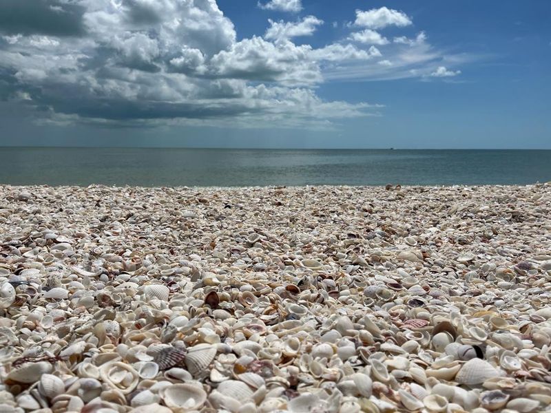 Bowman's Beach (Sanibel) — Best for shell collectors and peaceful island escapes