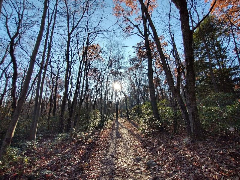 What the Hike Feels Like