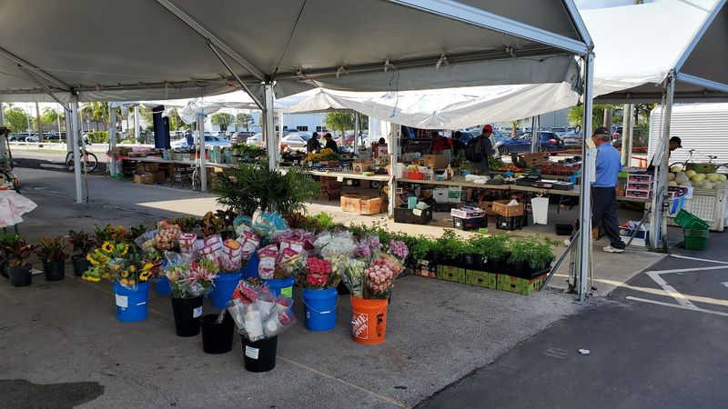 Easy Parking and Clean Grounds That Surprise First-Timers