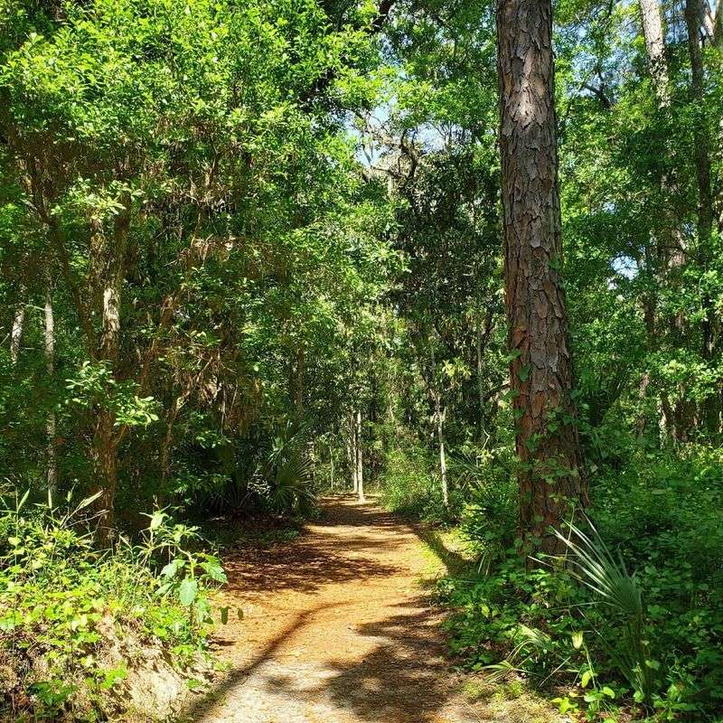 Wooded Trails That Feel Like a Different World