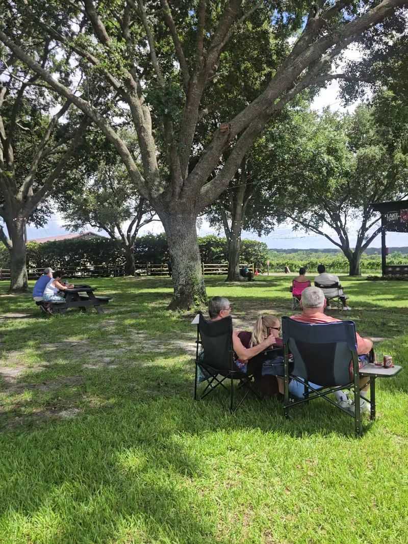 Live Music Concerts Under The Trees