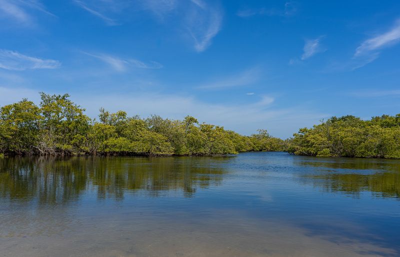 Kayaking Through Calm Mangrove Waterways