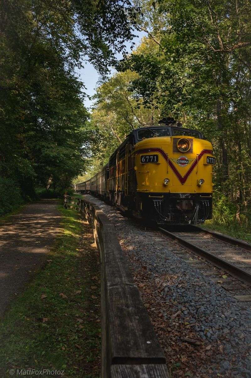 Vintage Railcars and Heartfelt History
