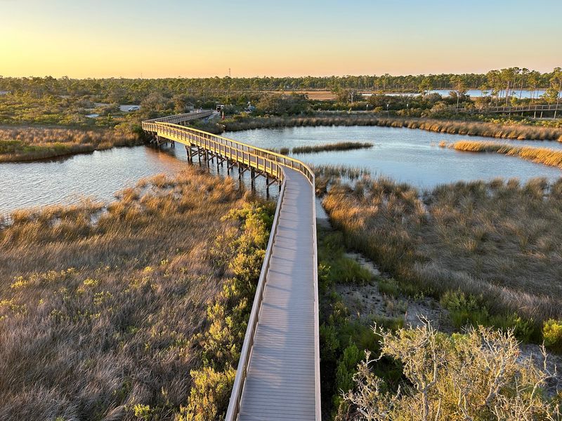 Big Lagoon State Park Observation Tower (Pensacola)