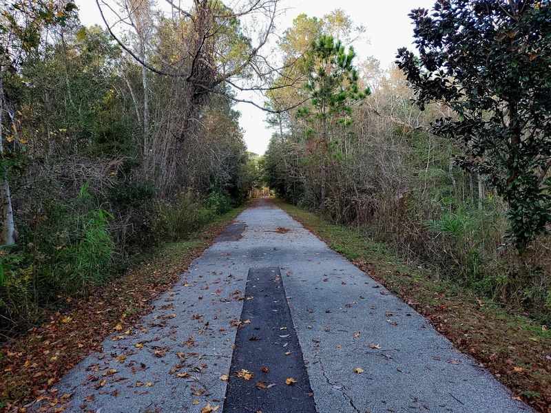 Blackwater Heritage State Trail (Milton)
