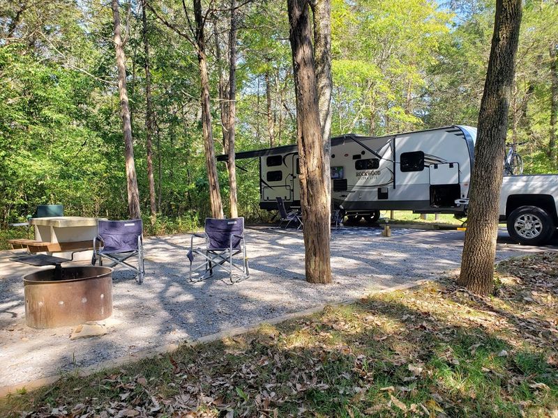 Camping Under the Stars in a Peaceful Natural Setting