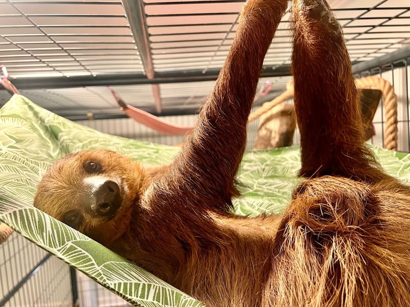 Meet the Animals That Make This Farm So Unforgettable