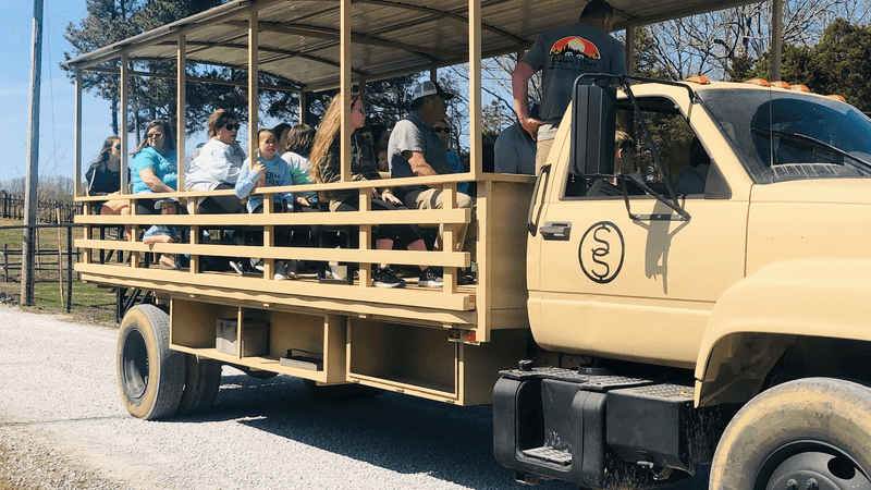 What to Expect From the Safari Experience