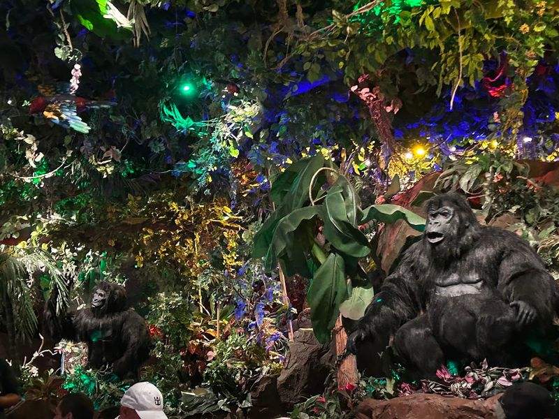 The Jaw-Dropping Jungle Atmosphere