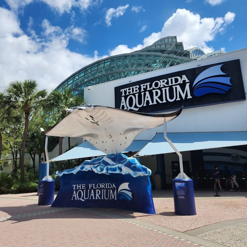The Florida Aquarium (Tampa)