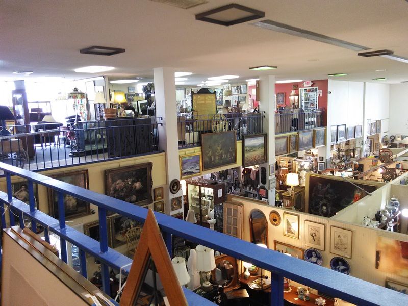 Plan Your Visit Around Their Quirks