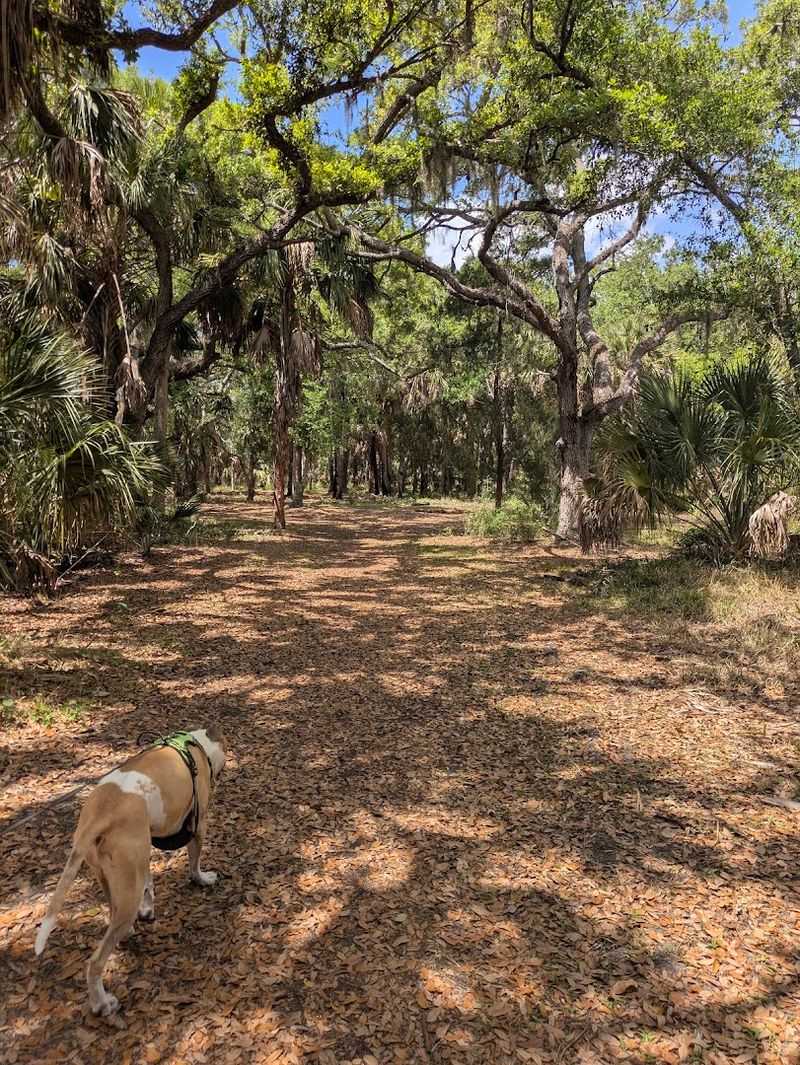 Hidden Connector Trails That Keep Surprising You