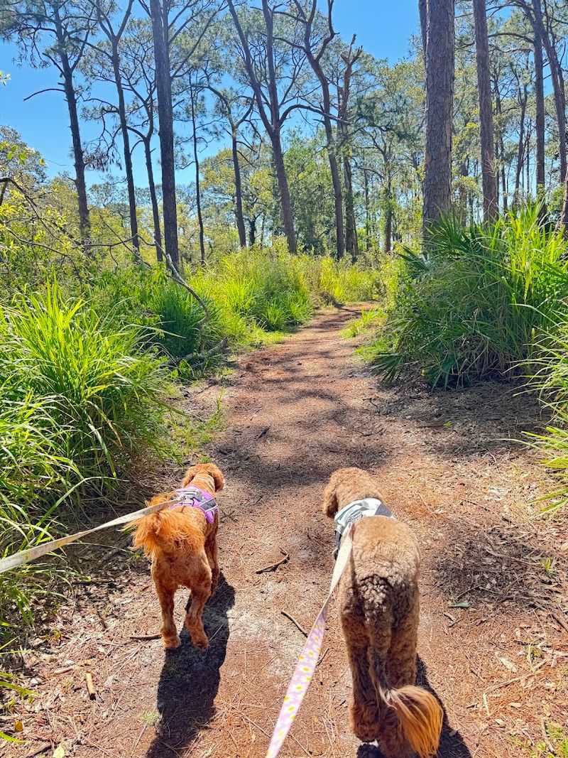 Dog-Friendly Trails With One Important Rule