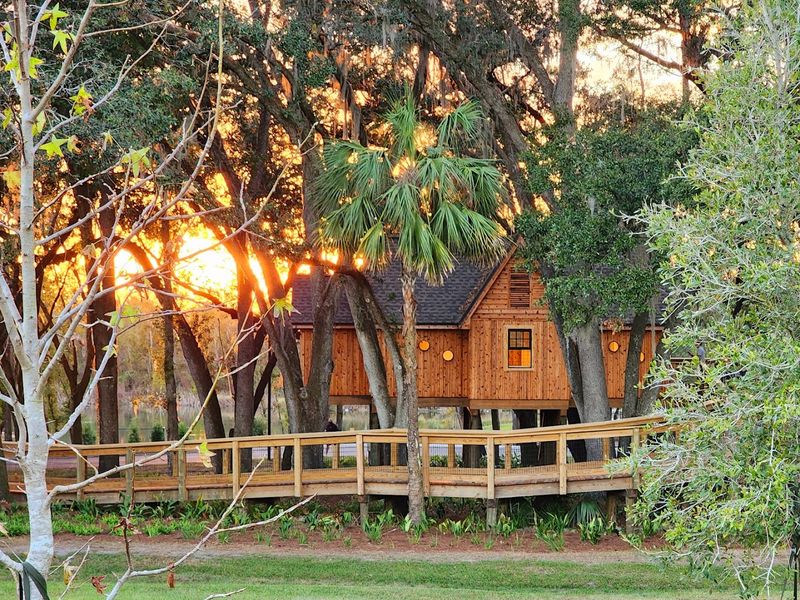 Treehouse And Nature Play