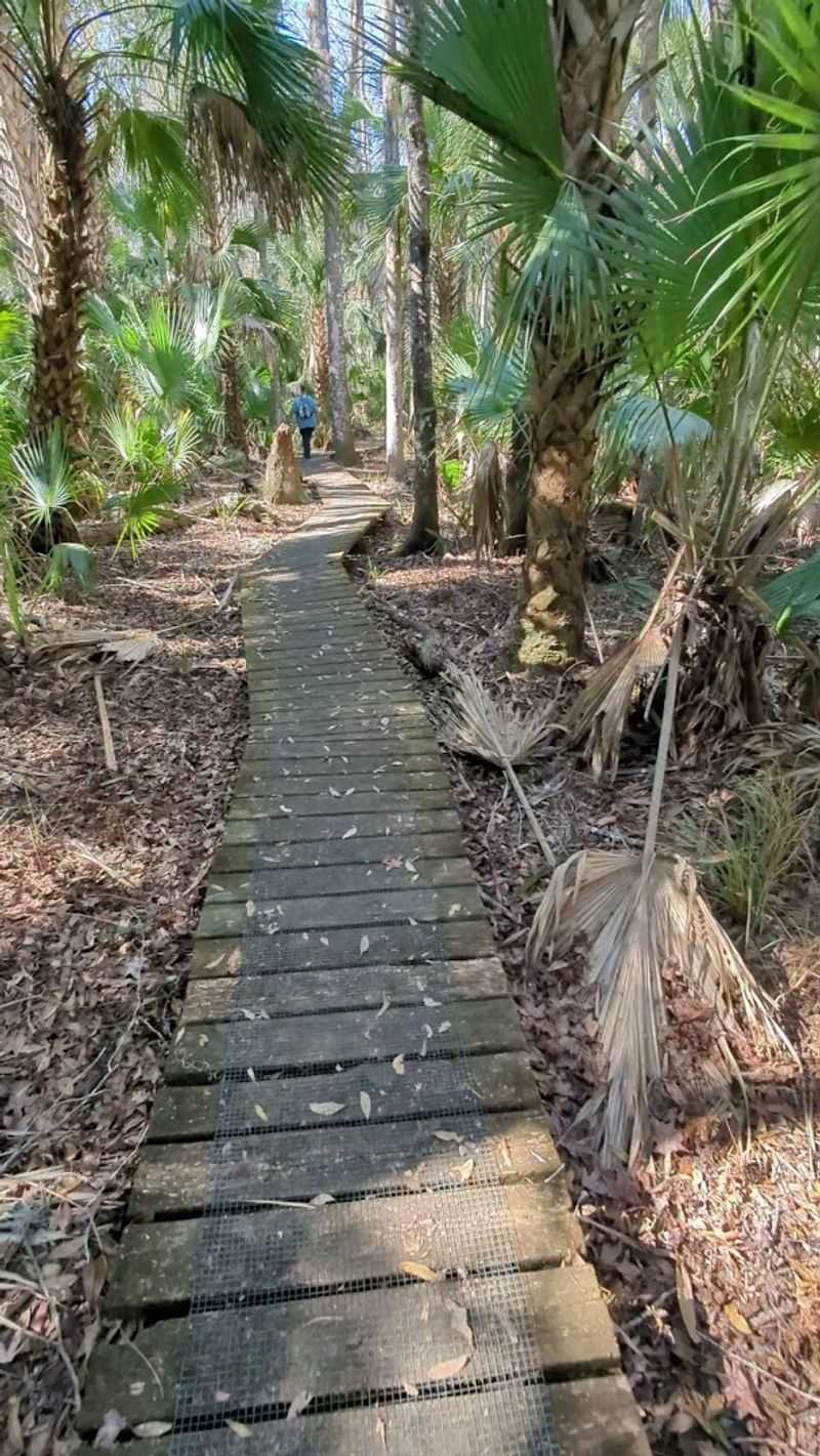 What to Bring for a Successful Hike