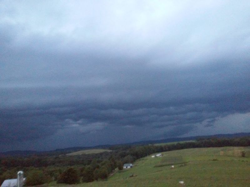 Coal Country Roots, Told Quietly