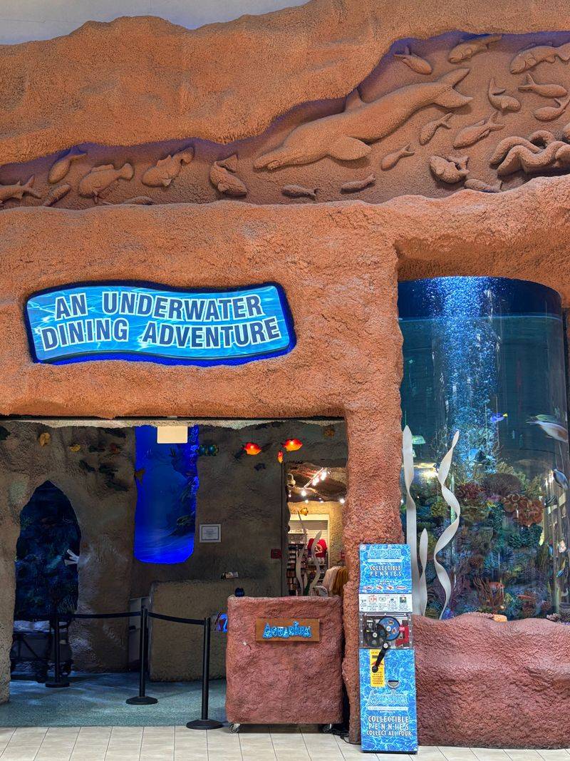 What Guests Are Saying About the Experience