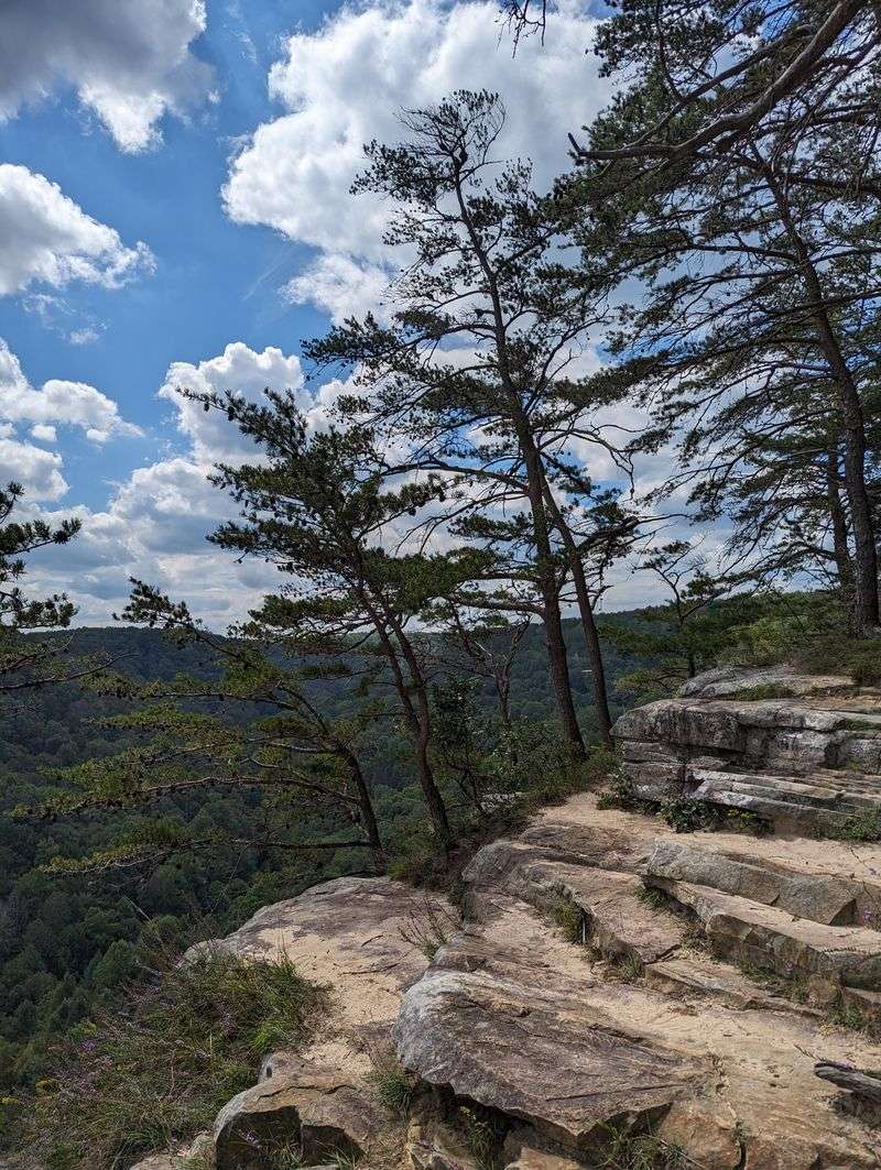 Big Creek Rim and Gulf Loop