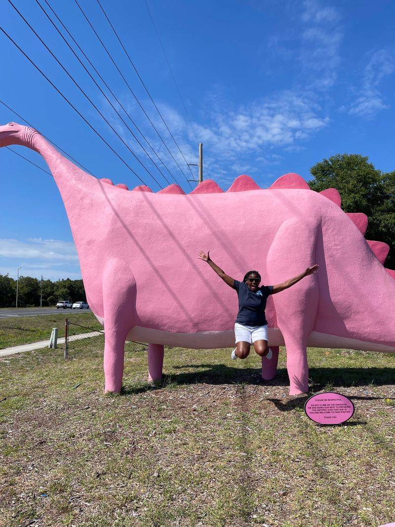 A Quick History And A Nickname With Personality