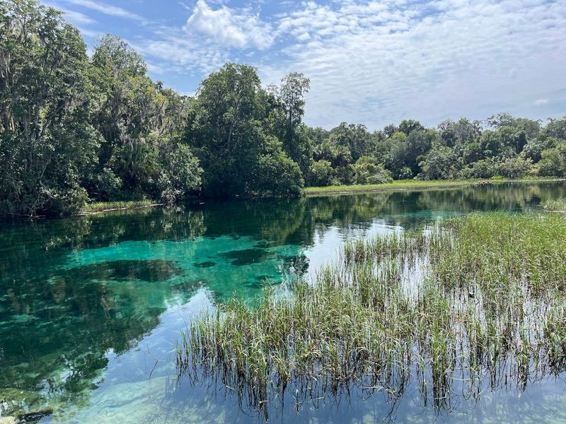 Rainbow River (Dunnellon)