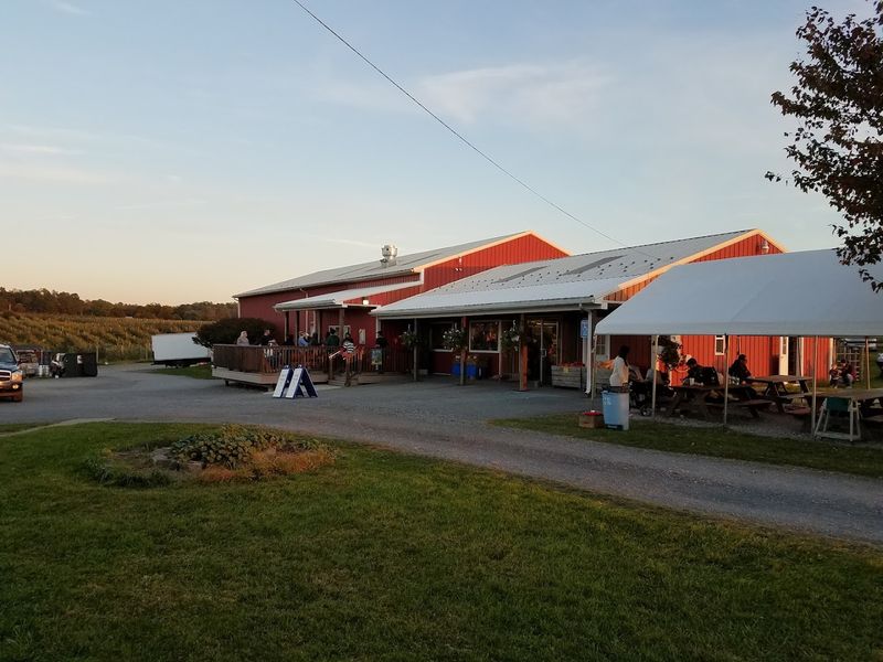 Mt. Airy Orchards, Dillsburg