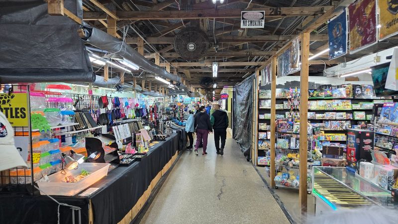 Wander the Maze of Aisles
