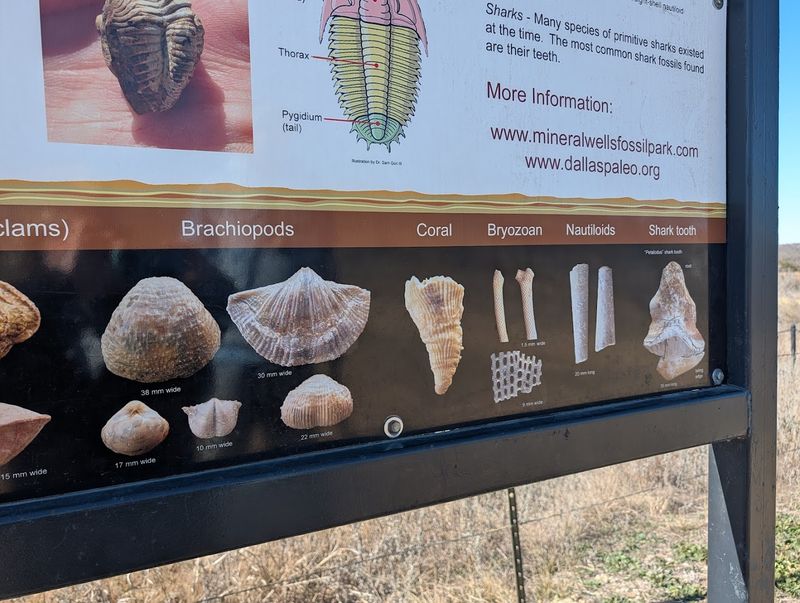 What You'll Actually Find Here