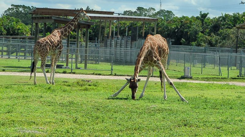 Beyond the Car: Walk-Through Exhibits You Don't Want to Miss