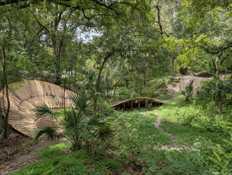 World-Class Mountain Biking Trails for Every Skill Level