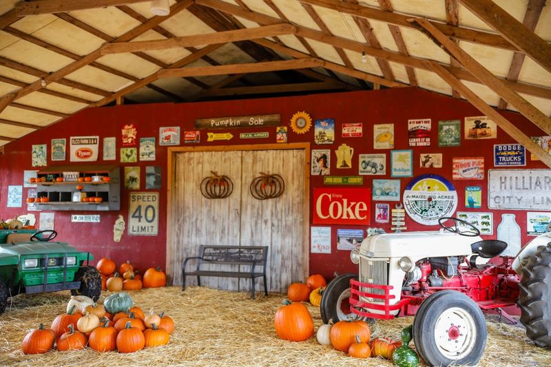 Conner's A-Maize-Ing Acres Farm (Hilliard)