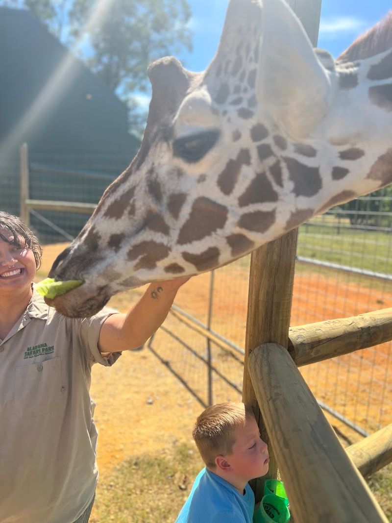 Walk Through Wonders: Monkeys, Lemurs, and More