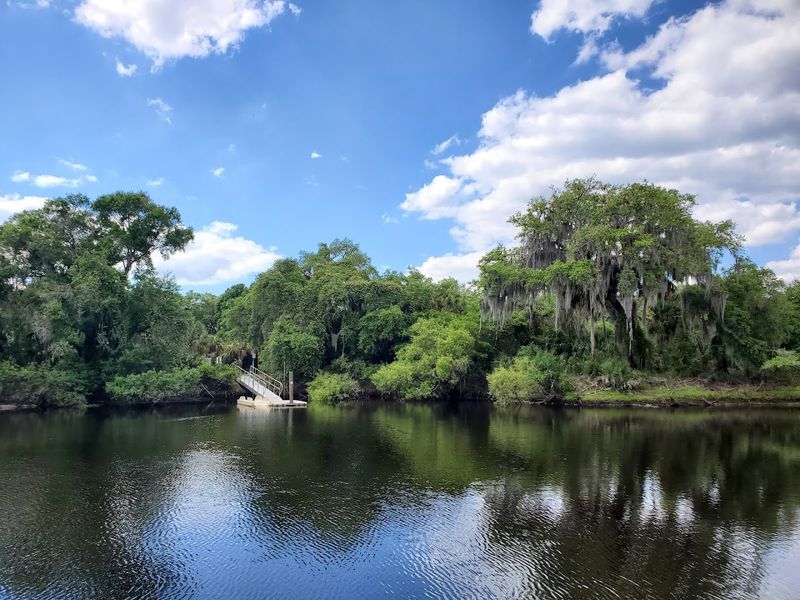 Venetian Waterway Park: Nature Trail With Fossil Surprises