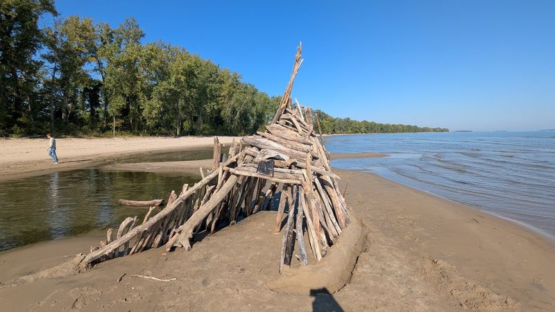 The Designated Dog Beach