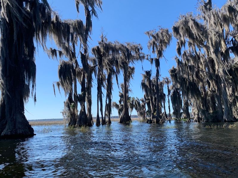 Thirty Miles of Undeveloped Natural Shoreline