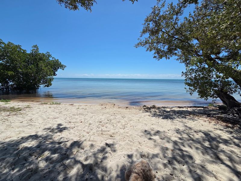 Beach Areas With That Authentic Keys Character