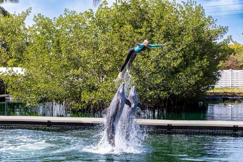 Seamless Show Loop That Flows