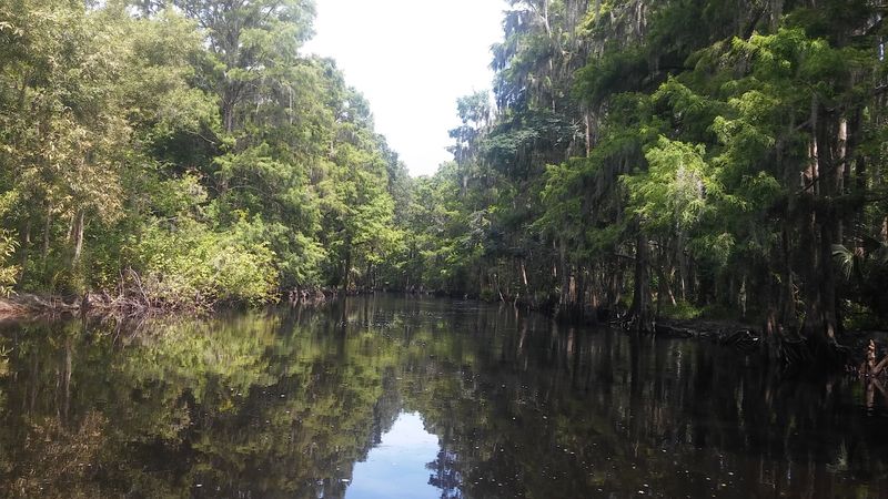 Guided Fishing Trips That Guarantee Success