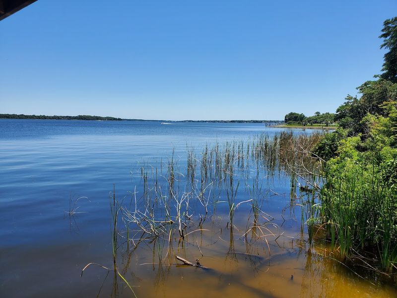 Lake Tarpon (Pinellas County)