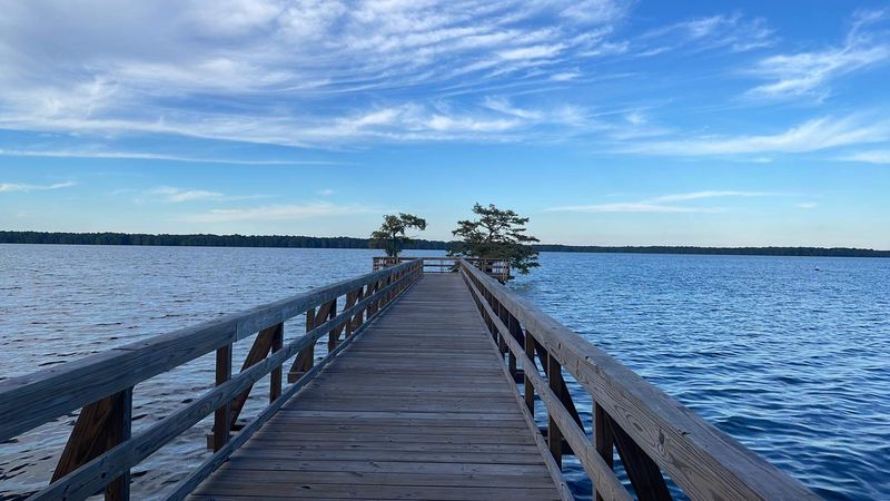 Where Reelfoot Lake Is Located—and How to Visit
