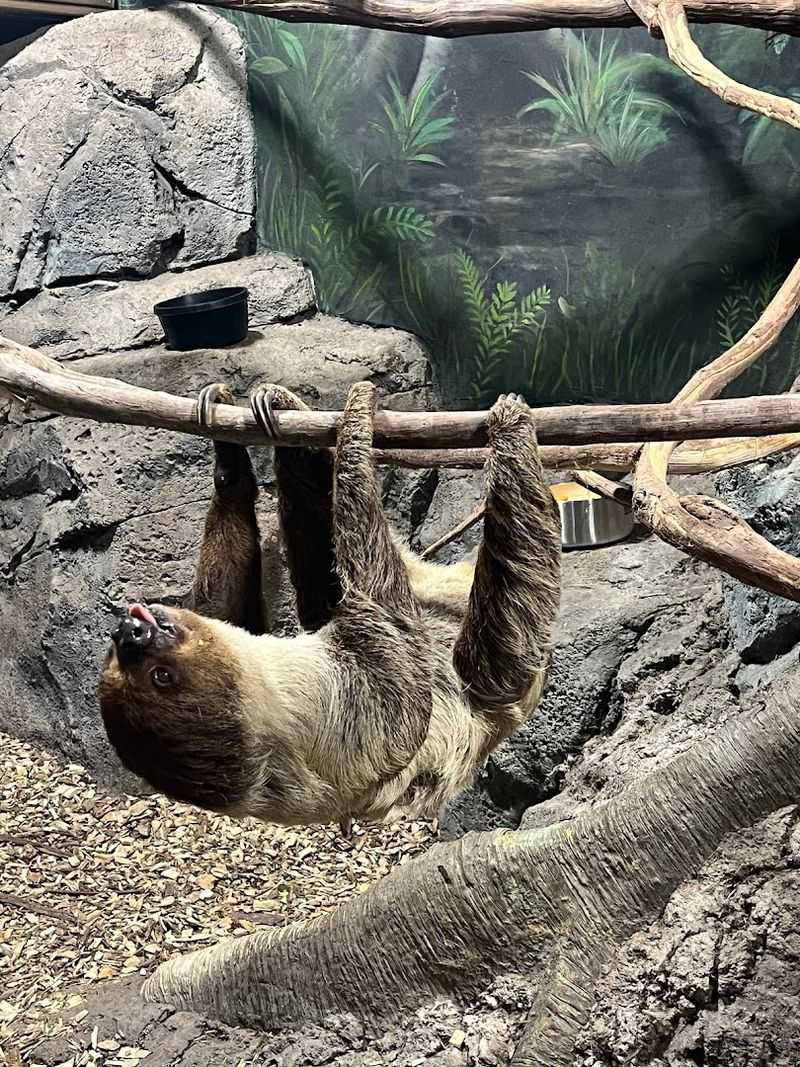 Hundreds of Exotic Animals From Around the World