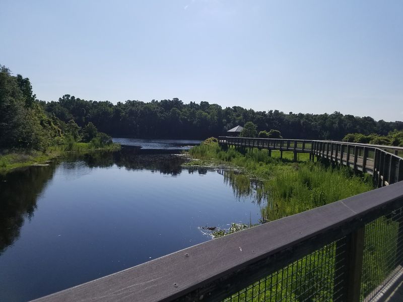 La Chua Trail at Paynes Prairie Preserve State Park (Gainesville)