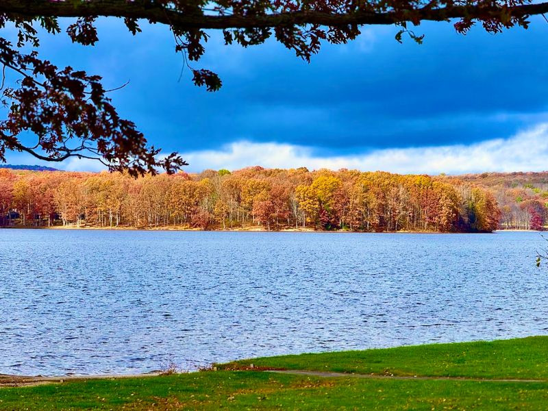 Muskrat Beach at Prince Gallitzin State Park, Patton Area