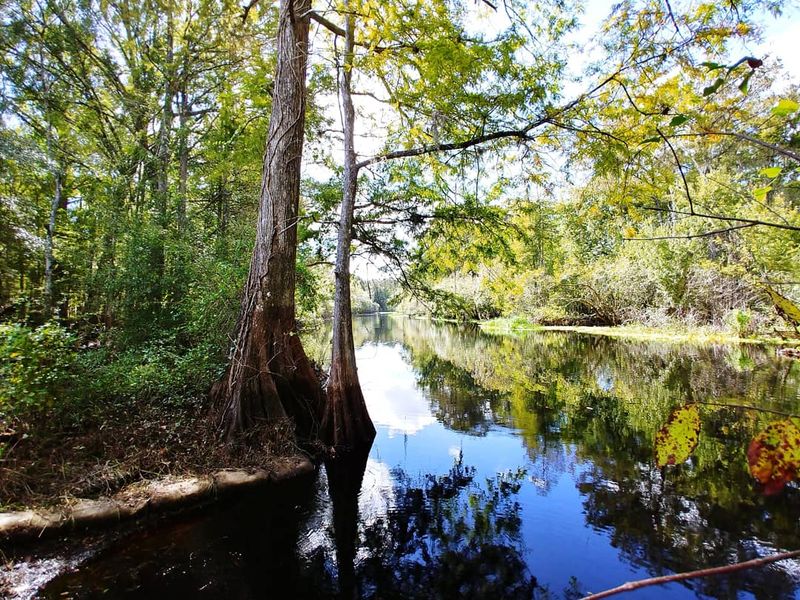 Green Swamp & Withlacoochee River Region (West-Central Florida)