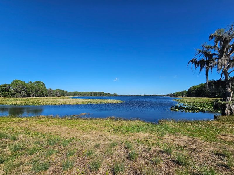 Flying Eagle Preserve
