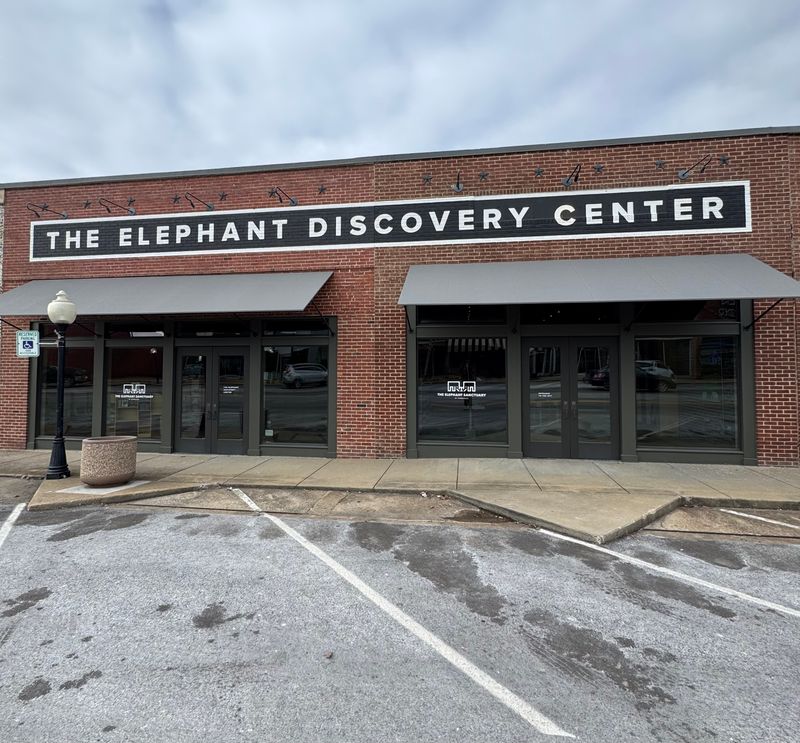 Why Visitors Can't See the Elephants in Person