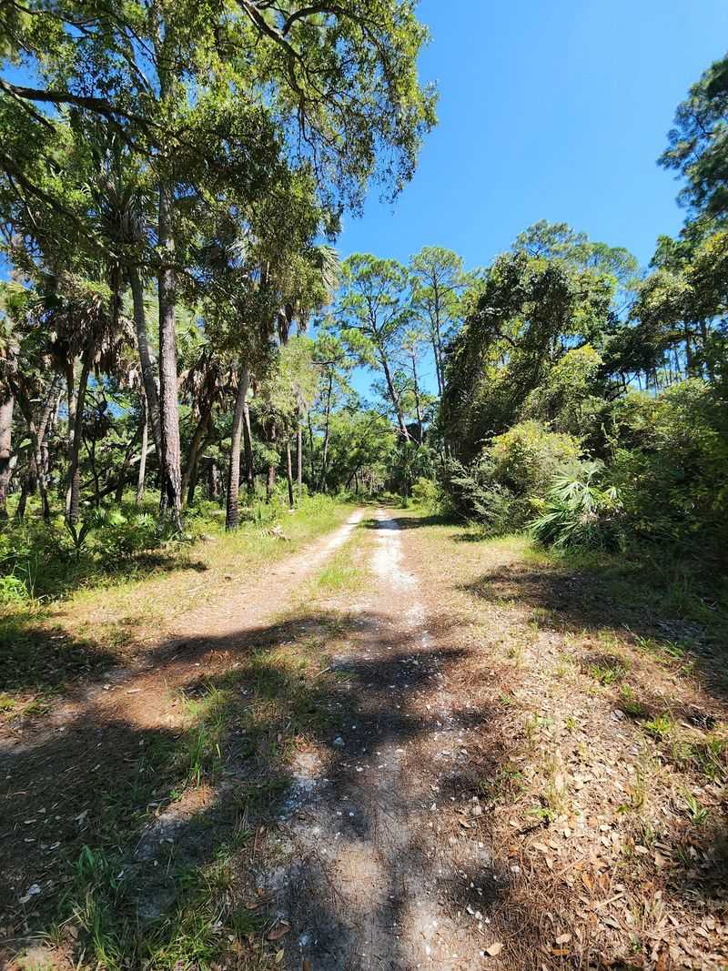 Jungle-Like Trails and Wild Plants