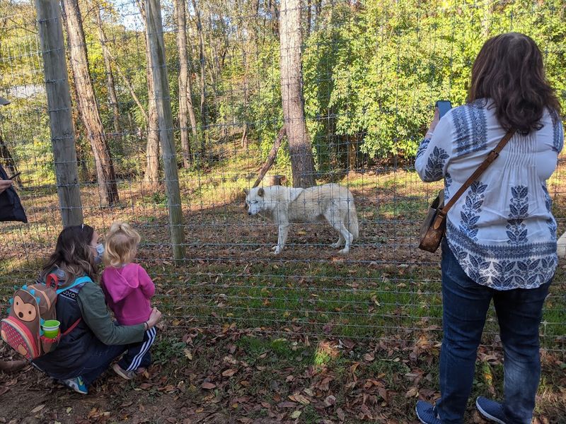 Guided Tours: What To Expect