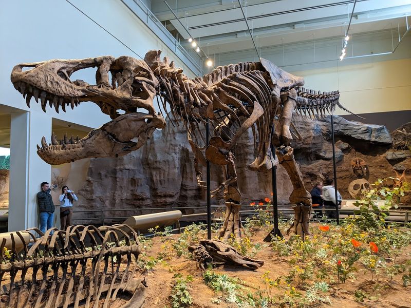 Carnegie Museum of Natural History