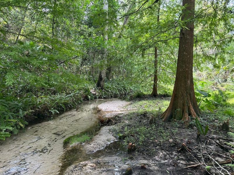 Creek and Spring Fed Cooldown