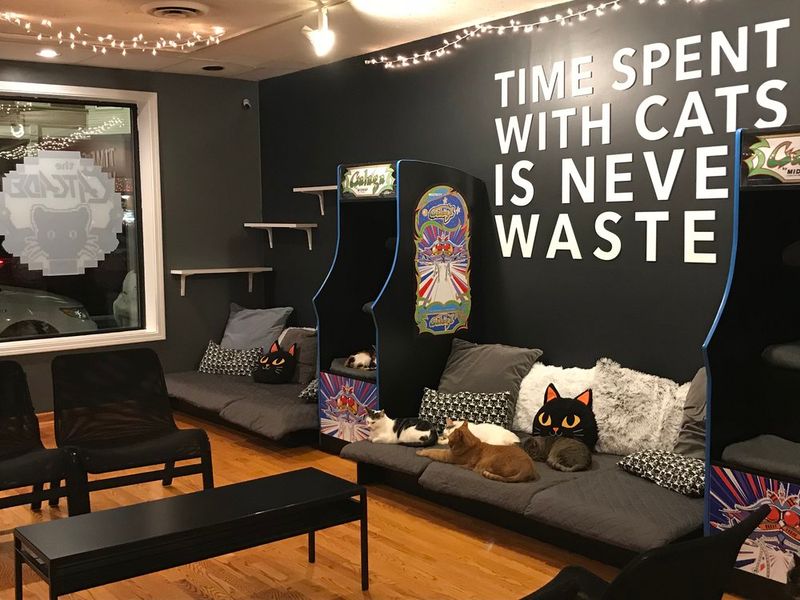 Arcade Ambiance Meets Rescue Mission